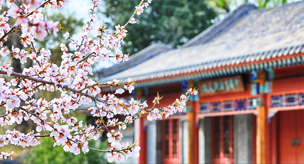 北京大学 中国名片里的青春力量