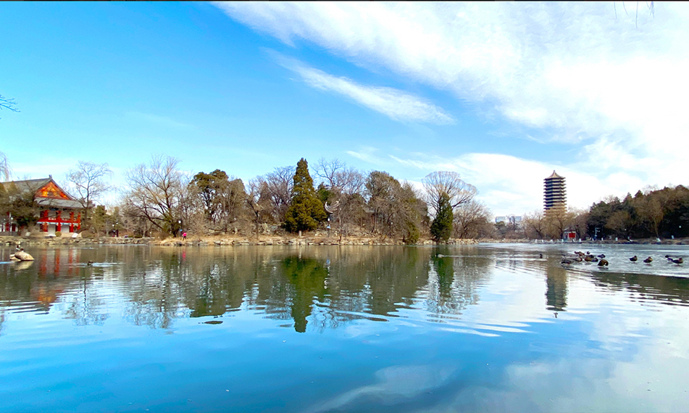 北京大学 校園文化