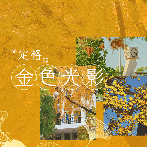大學简介