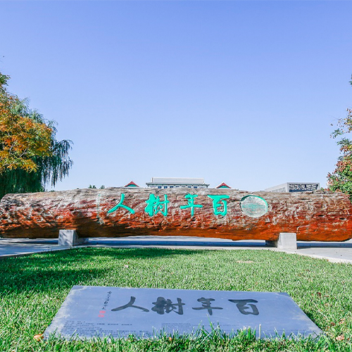 大學简介