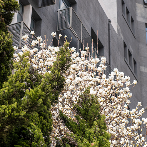 北京石油化工学院-早安青春