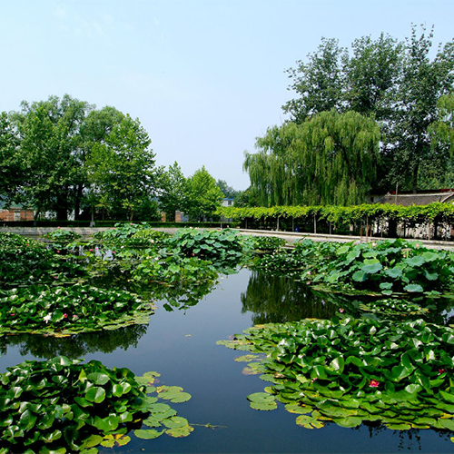 最美大學