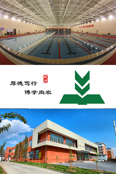 岁月流金 · 青春不散场