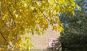 中国人民大学 - 学校简介