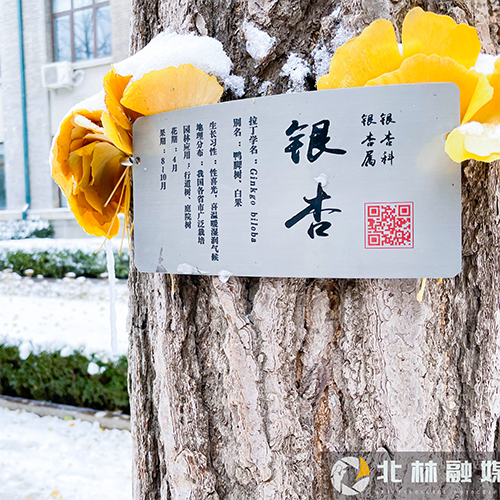 校志校史