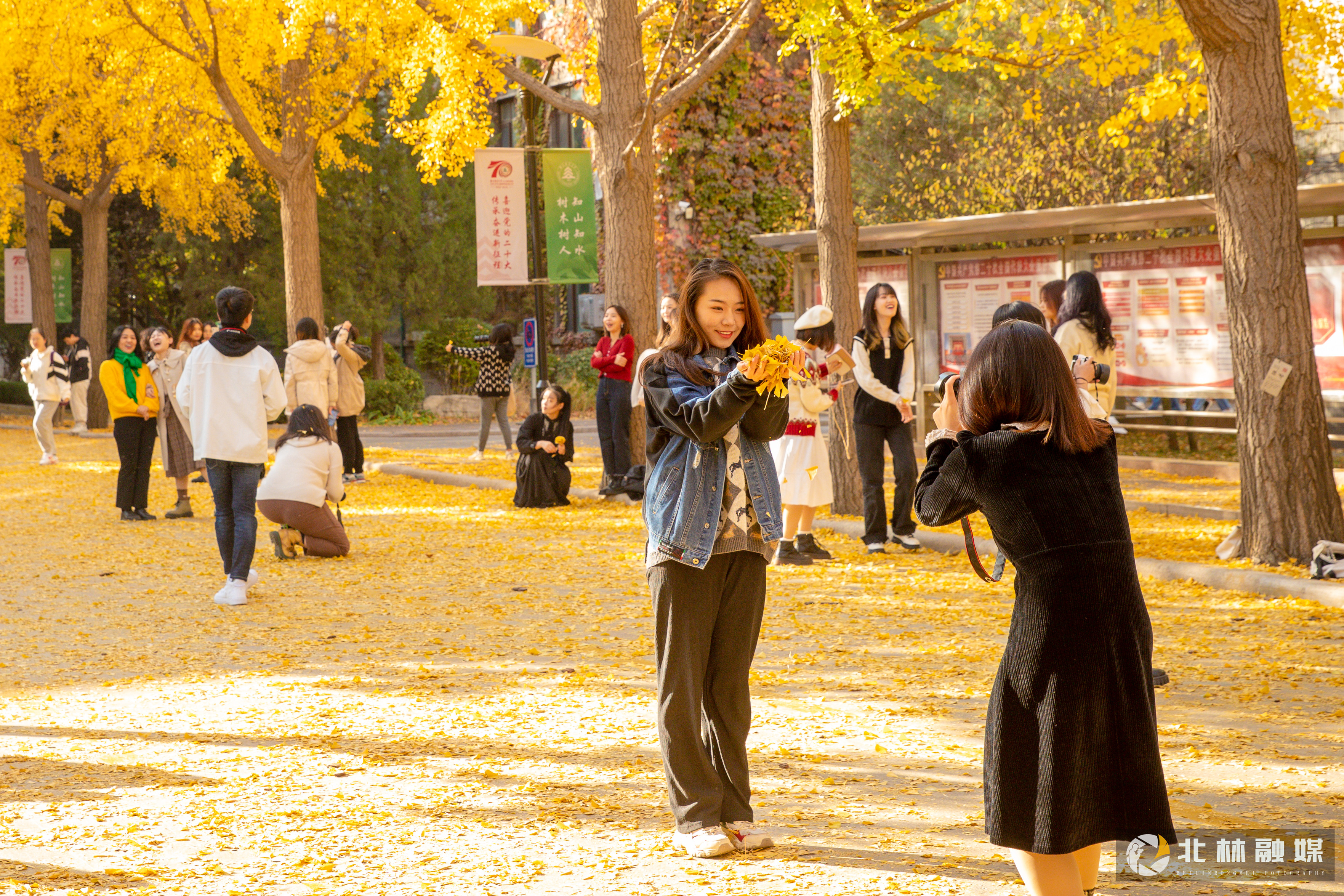 北京林业大学 早安青春