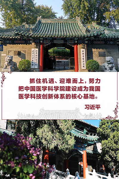 岁月流金 · 青春不散场
