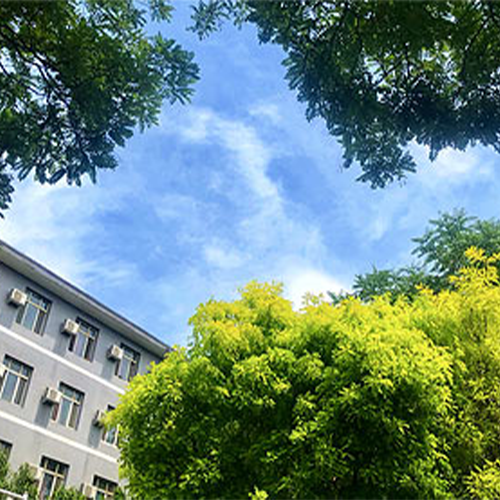 我的大學