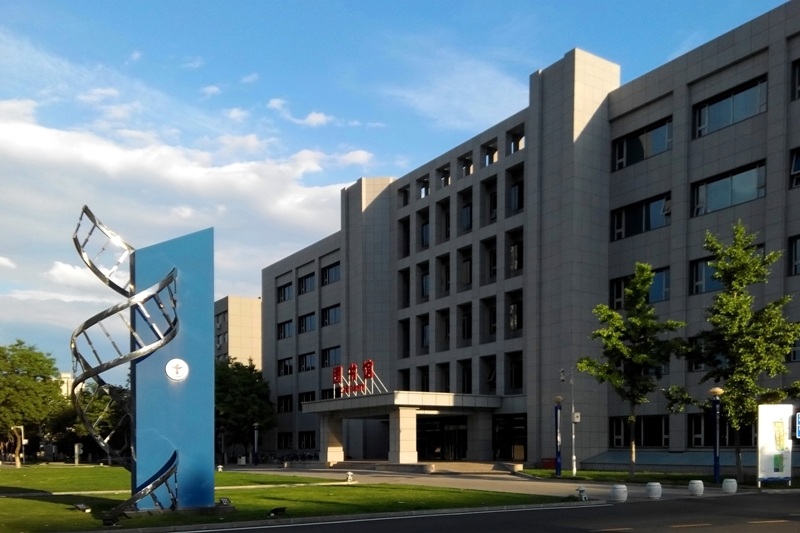 首都医科大学 我的大學