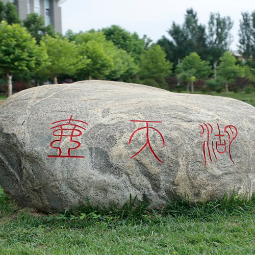 我的大學
