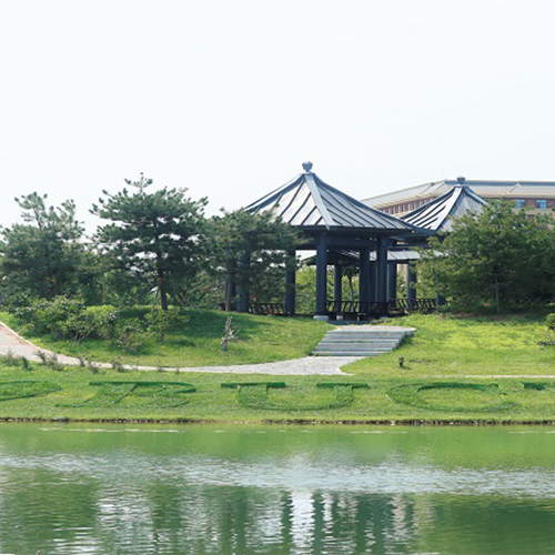北京中医药大学-早安青春