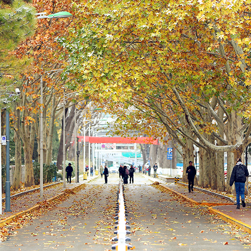 北京师范大学-最美校園