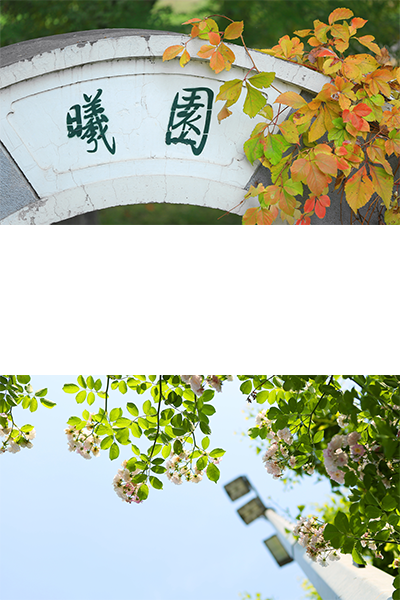 岁月流金 · 青春不散场
