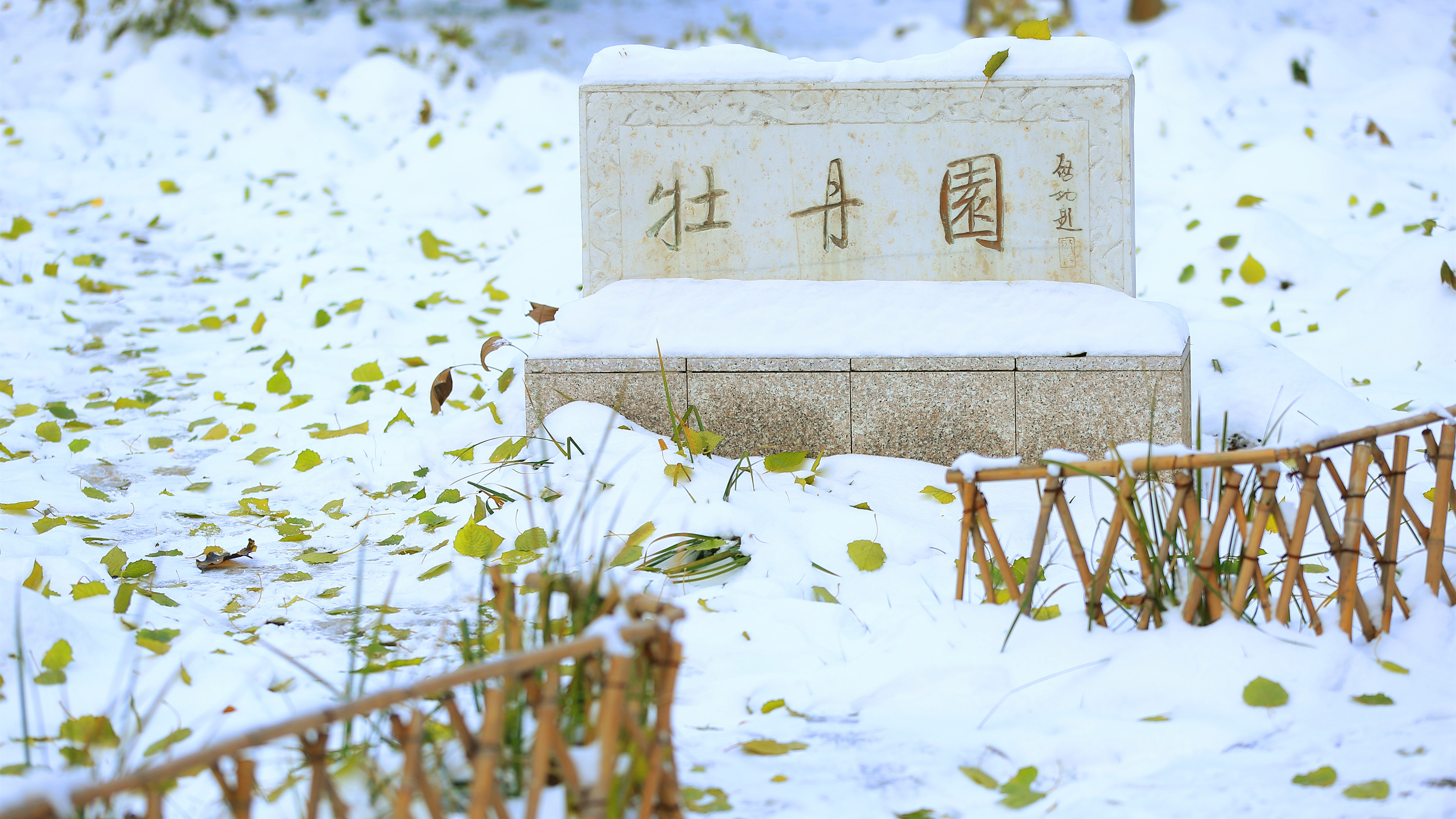 北京师范大学 我的大學