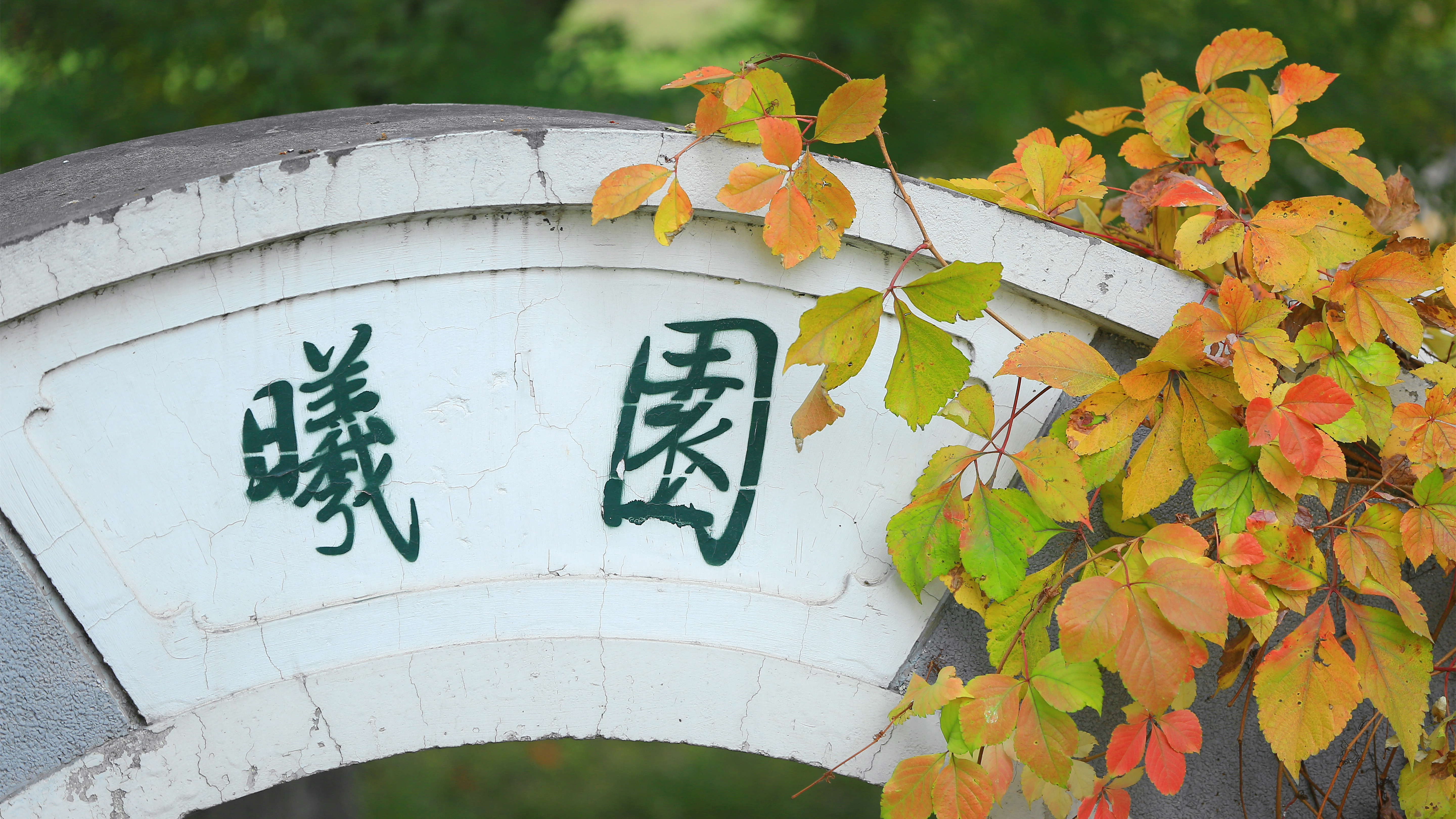 北京师范大学 - 院校概况