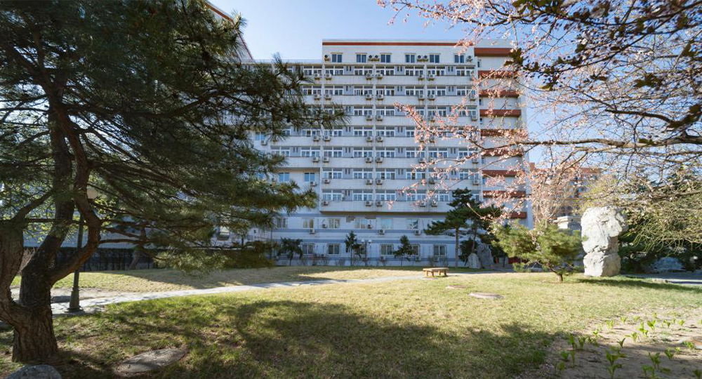 北京语言大学：校名题写 / 校徽设计