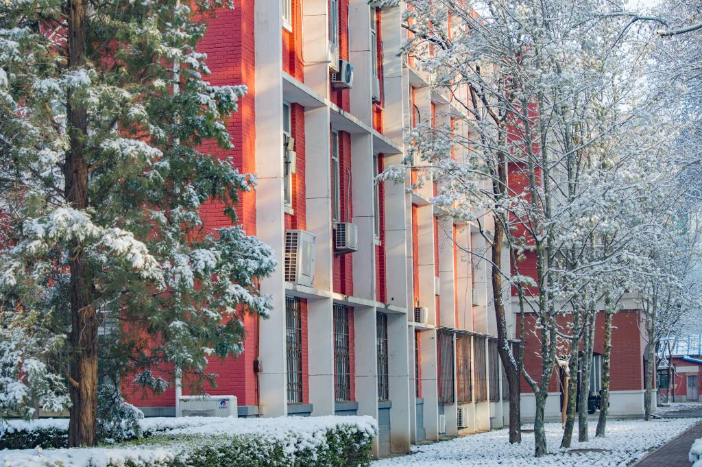 北京语言大学 我的大學