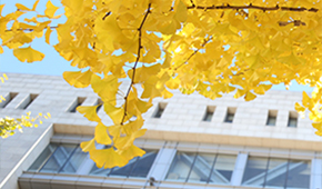 中央财经大学 - 学校简介