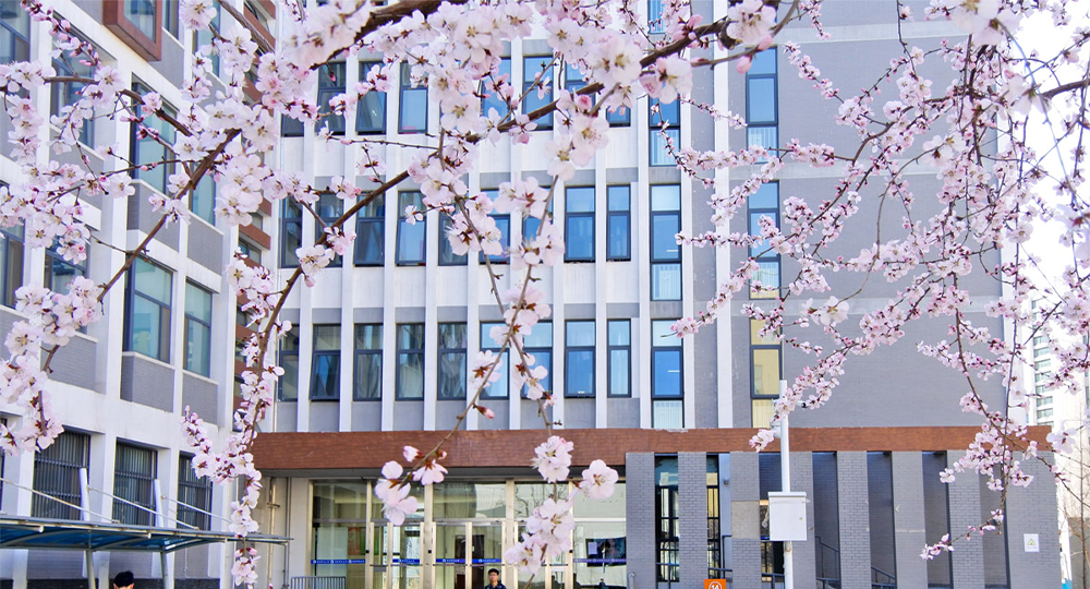 中央财经大学 中国名片里的青春力量