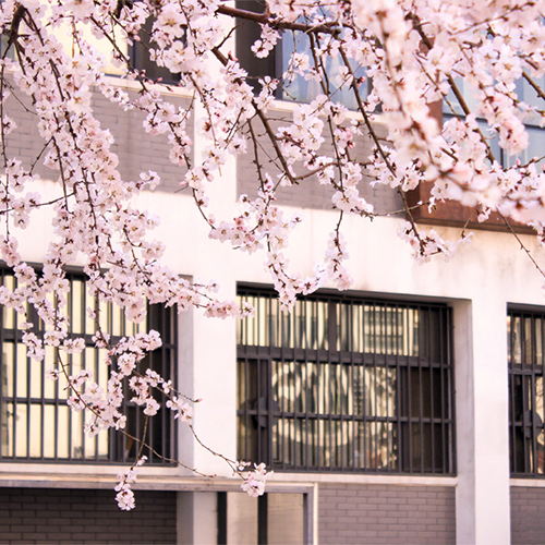中央财经大学-大學文化