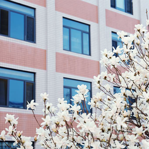中央财经大学-流金岁月
