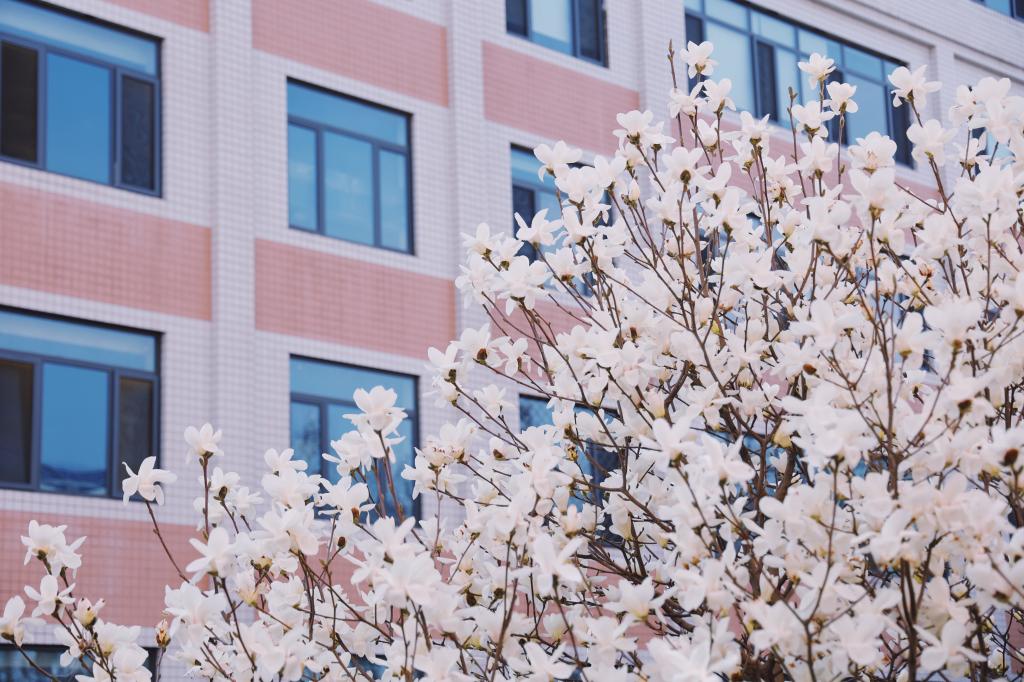 中央财经大学 我的大學