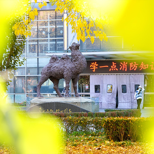 大學简介