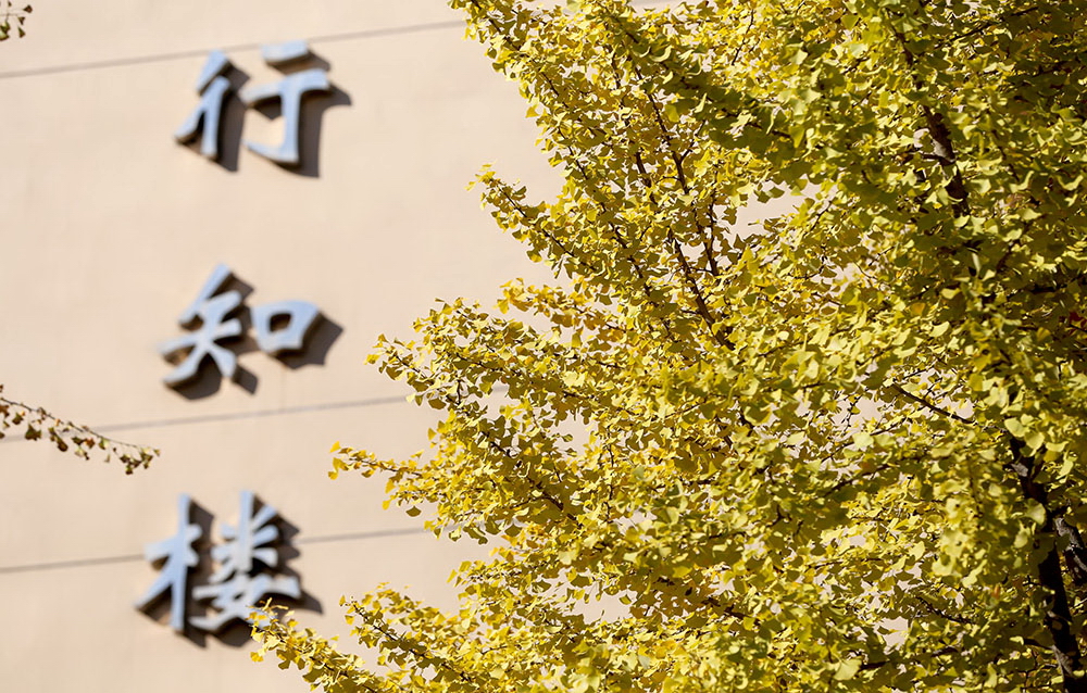 首都经济贸易大学 早安青春