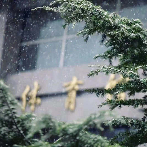 最美大學