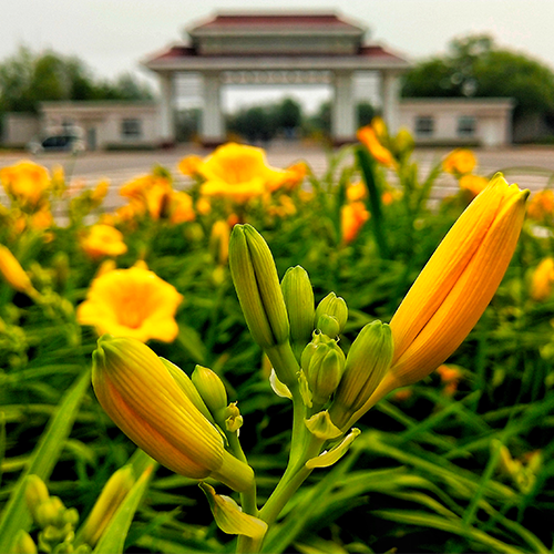 校园资讯