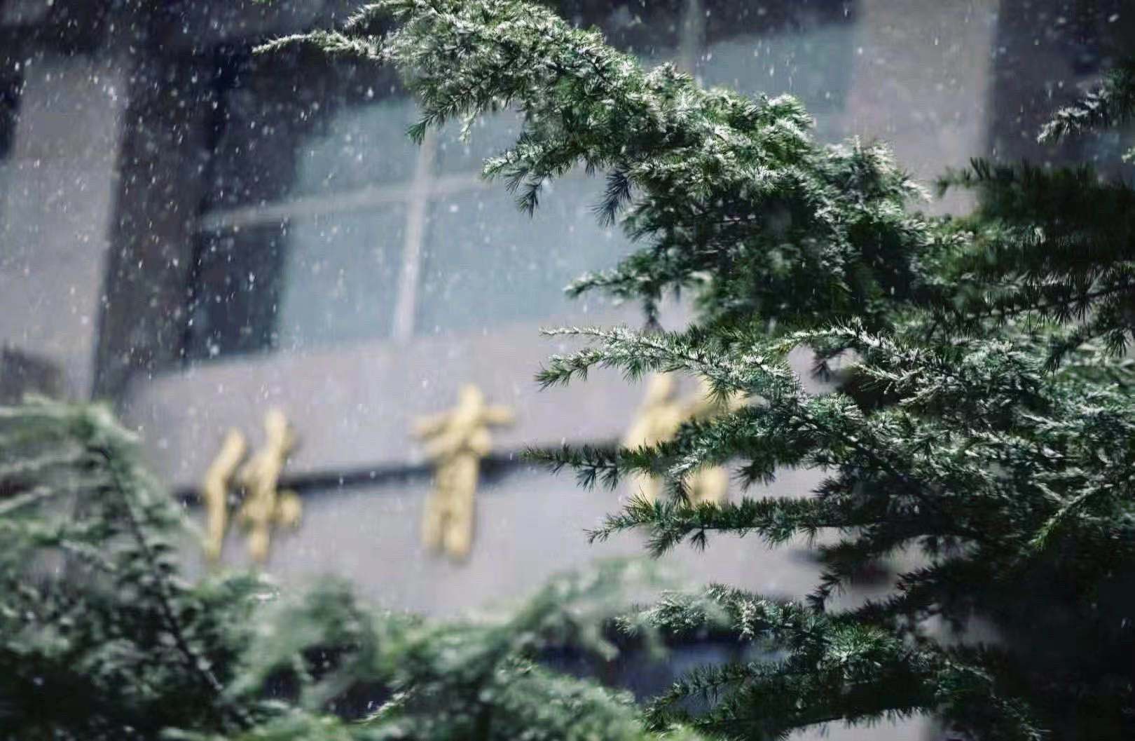 中国消防救援学院 我的大學