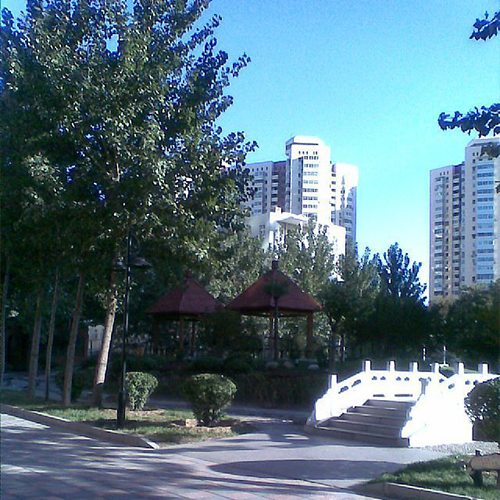 大學简介