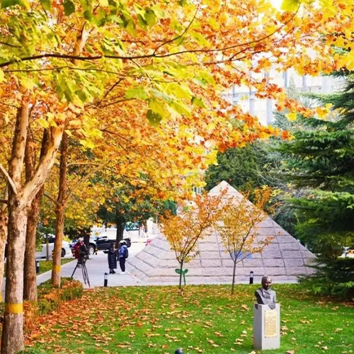 新生入学