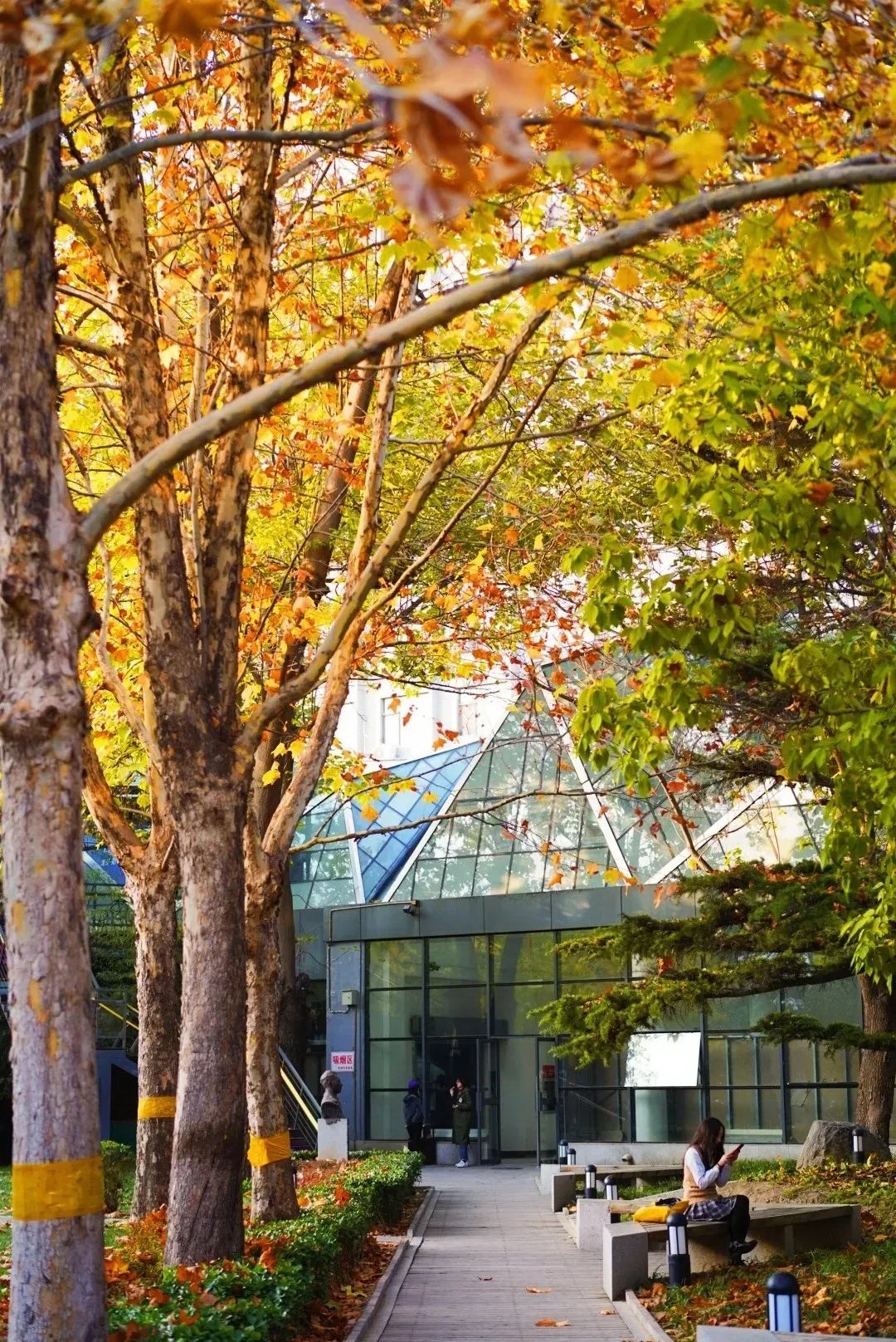 北京电影学院 - 院校概况