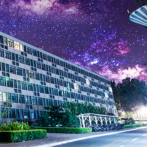 最美大學