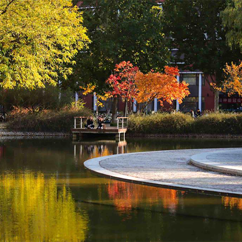 北京工业大学-大學简介