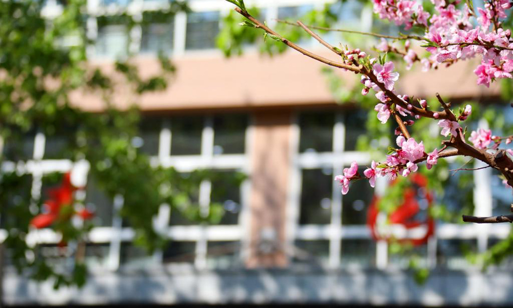 中国矿业大学（北京） 风起四海 · 各自珍重