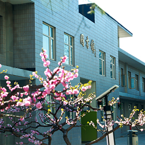 新生入学