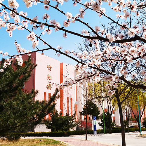 大學简介