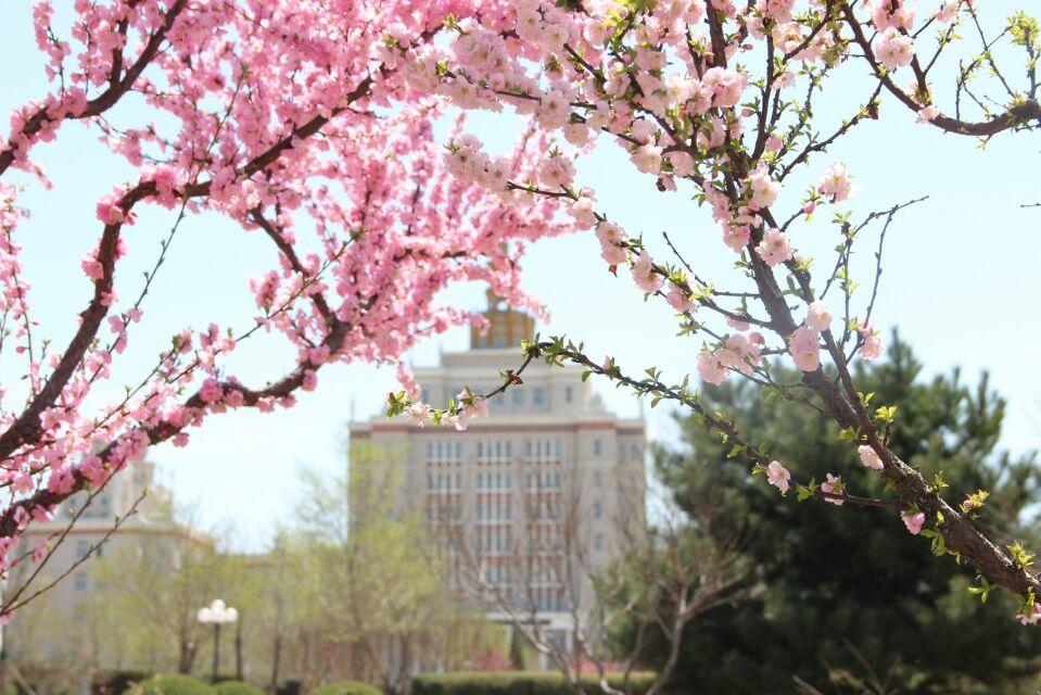 北京邮电大学世纪学院 我的大學