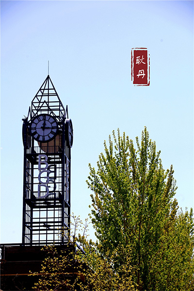 岁月流金 · 青春不散场