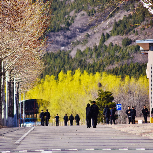 北京警察学院-流金岁月