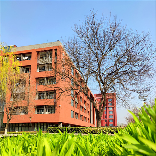 大學简介