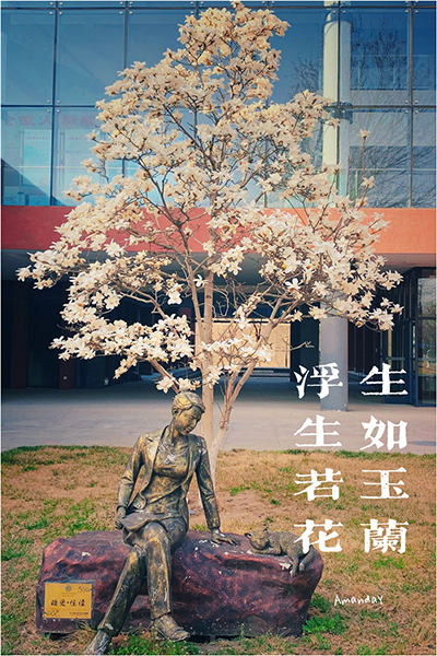 北京第二外国语学院中瑞酒店管理学院