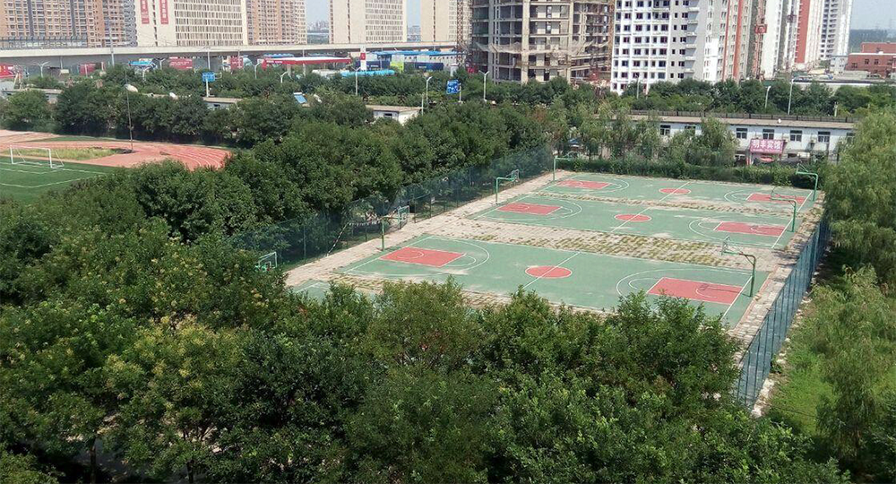 北京北大方正软件职业技术学院：校名题写 / 校徽设计