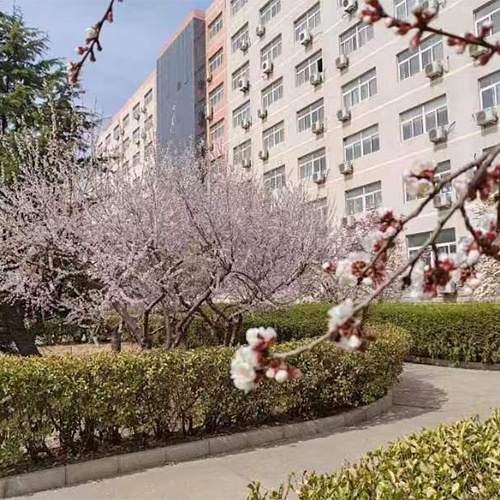 新生入学