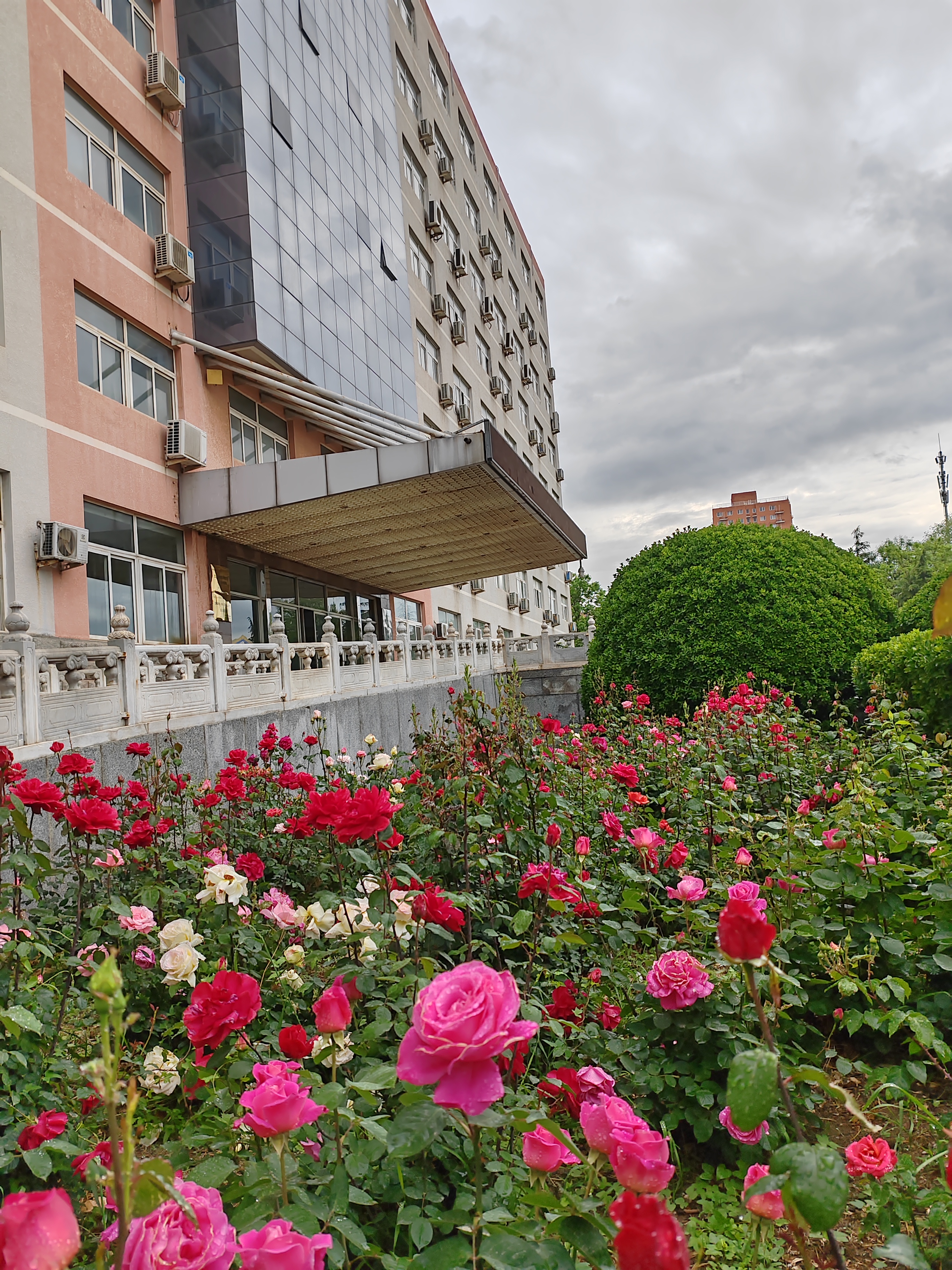北京北大方正软件职业技术学院-校园风景