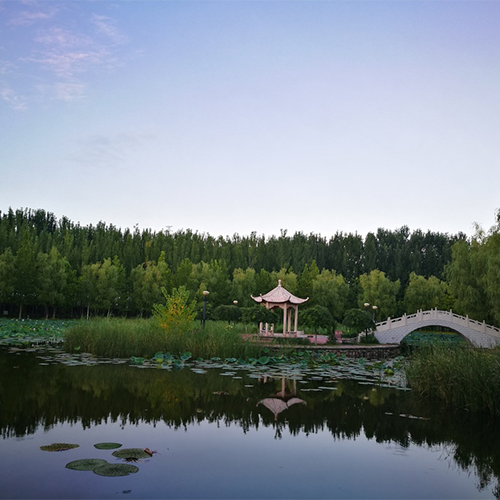 大學简介