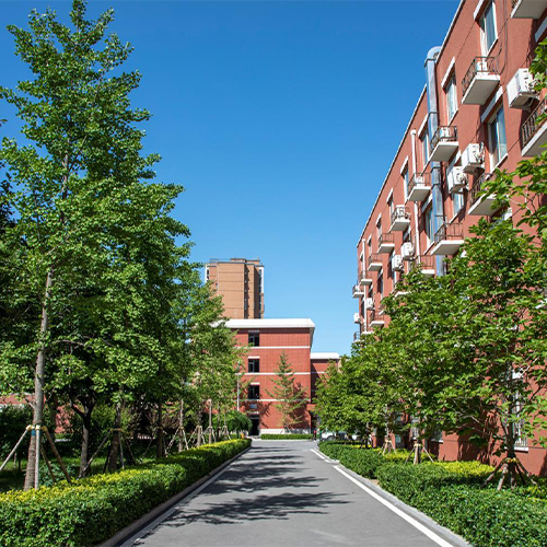 最美大學