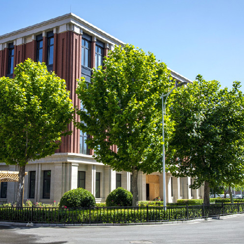 我的大學
